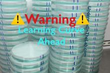 The words Warning Learning Curve Ahead in the front. Several stacks of petri dishes with blue liquid in them in the background.